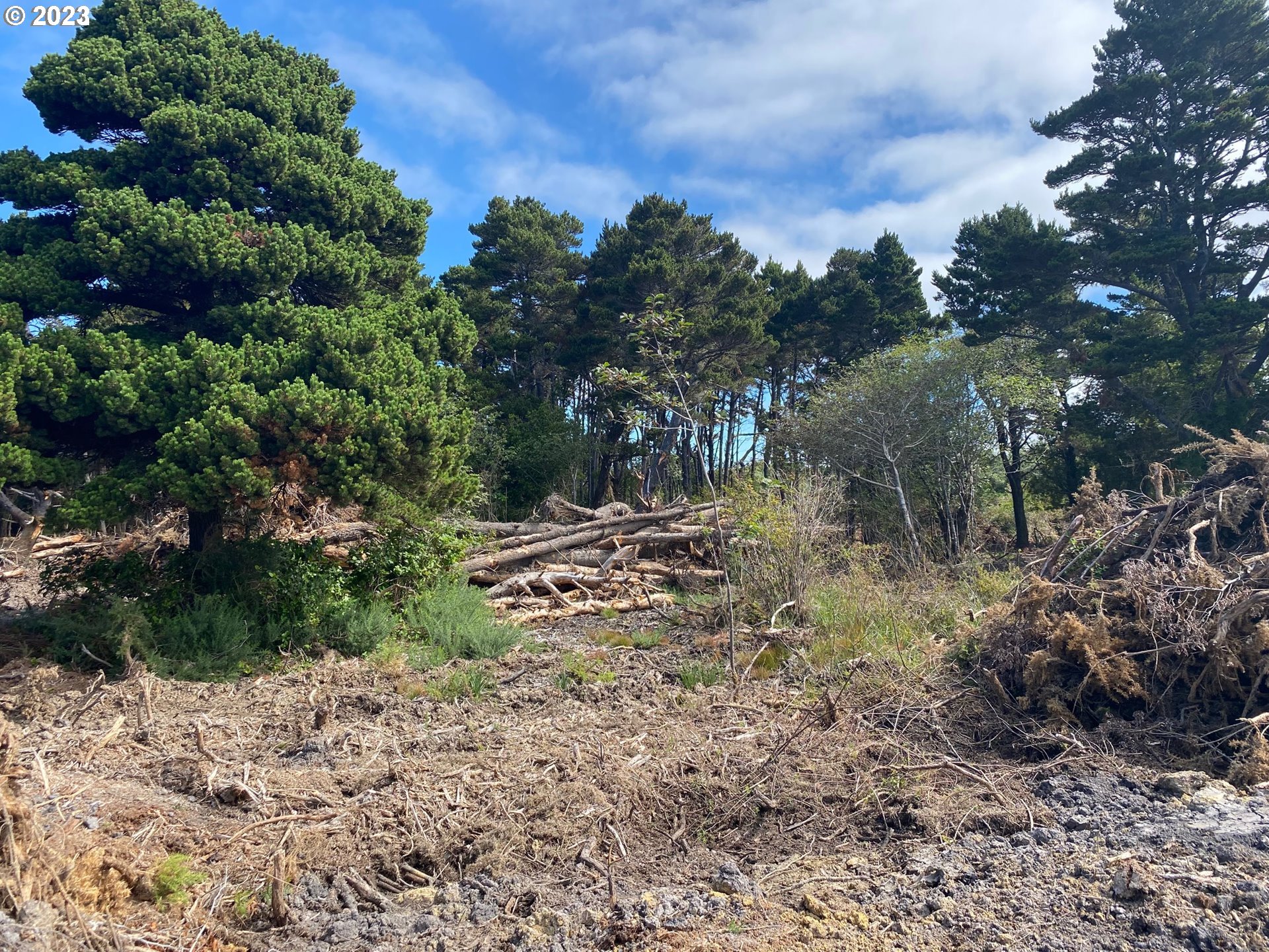 0 SW 20 ST, Bandon, OR, 97411