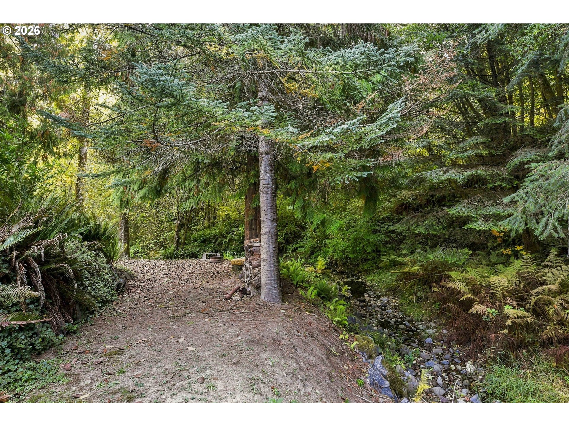 51256 SALMON GULCH RD, Myrtle Point, OR 97458