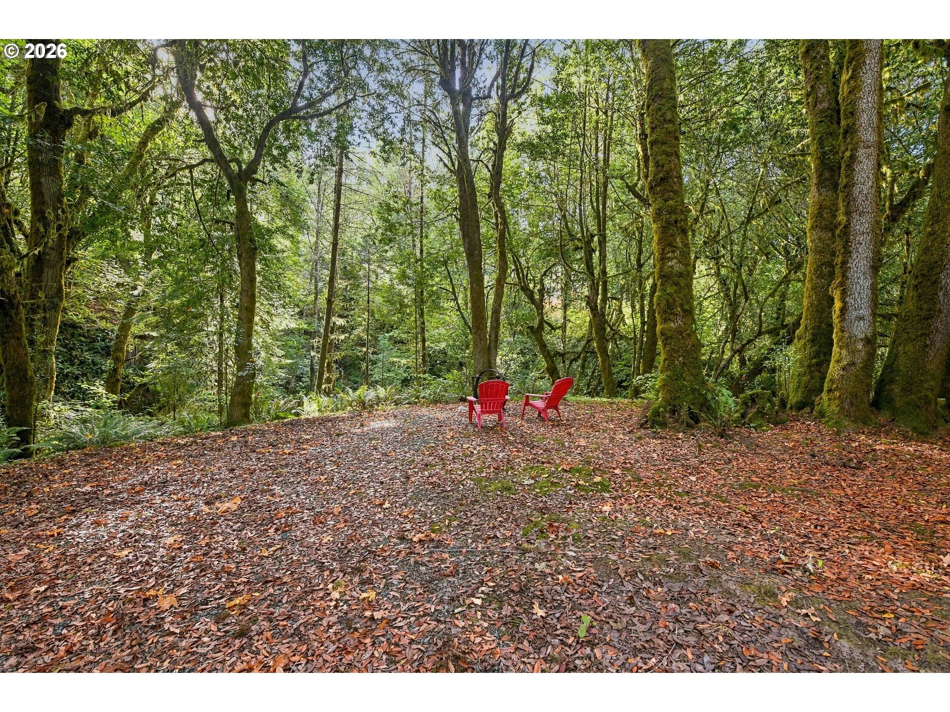 51256 SALMON GULCH RD, Myrtle Point, OR 97458