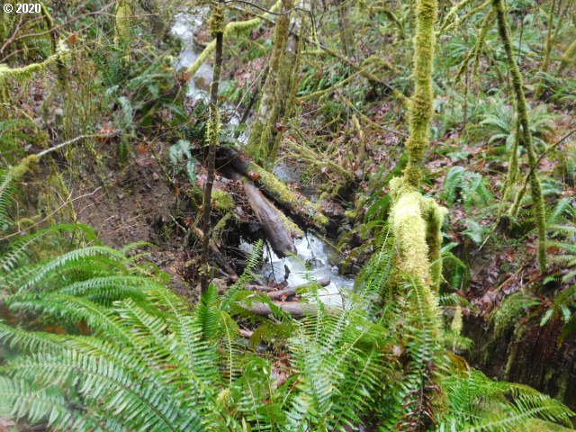 Photo of Reid RD Scappoose OR 97056