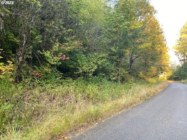 McGowan Creek RD, Springfield, OR 97478
