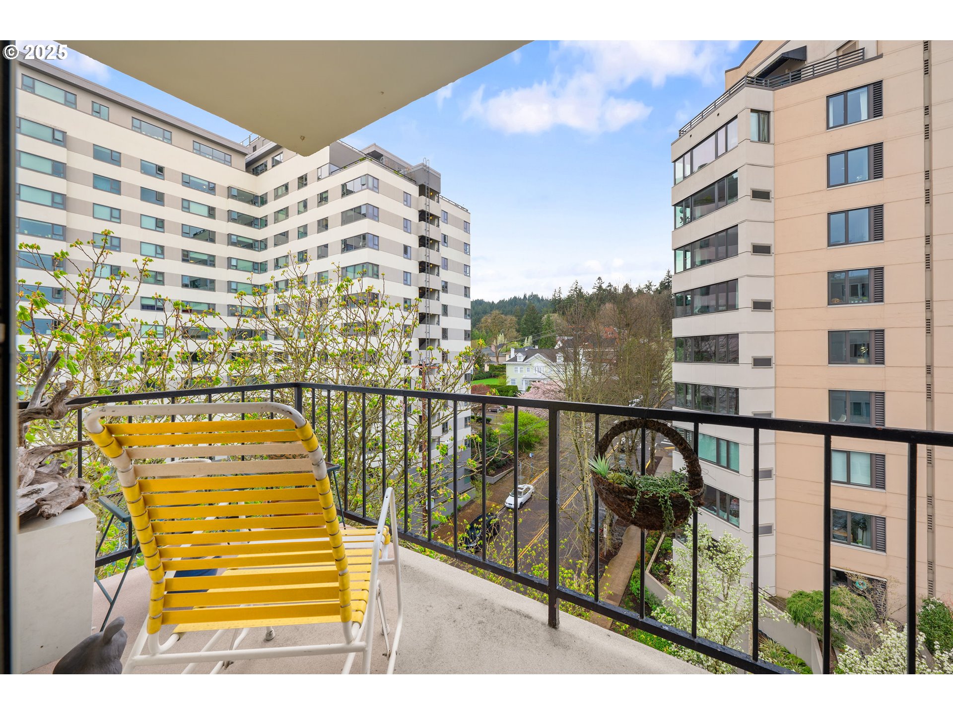 Photo #7: 233235526 Listing: Photo #7