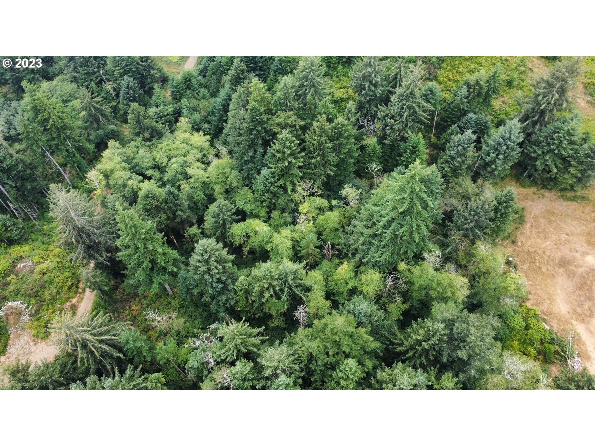 0 Shoreline DR 121 UNIT 121, Florence, OR, 97439