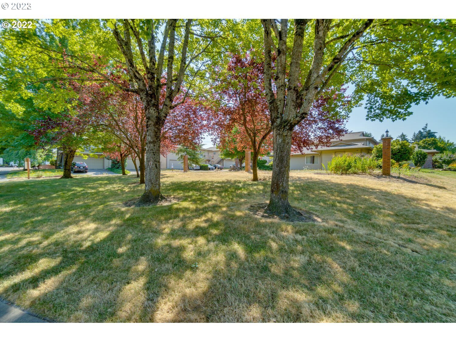 Photo #4: 23331781 Listing 