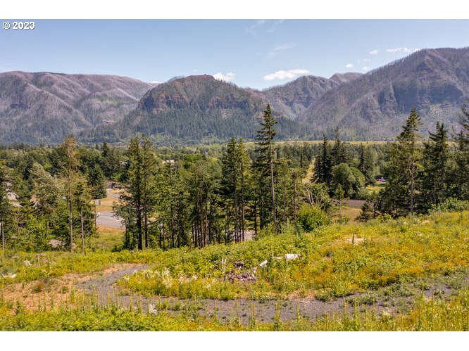  Warren Lot 3 Rd, North Bonneville, WA 98639