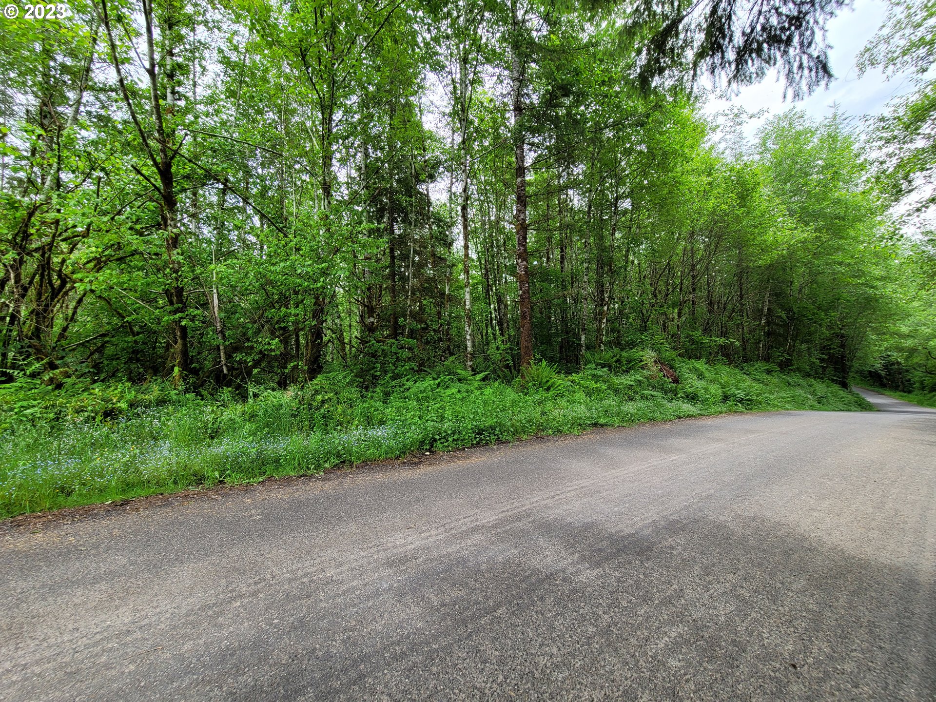 NE Elliott Rd, Yacolt, WA 98675