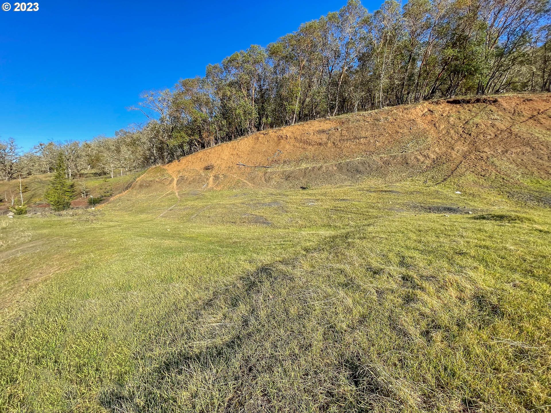 Search Homes for Sale