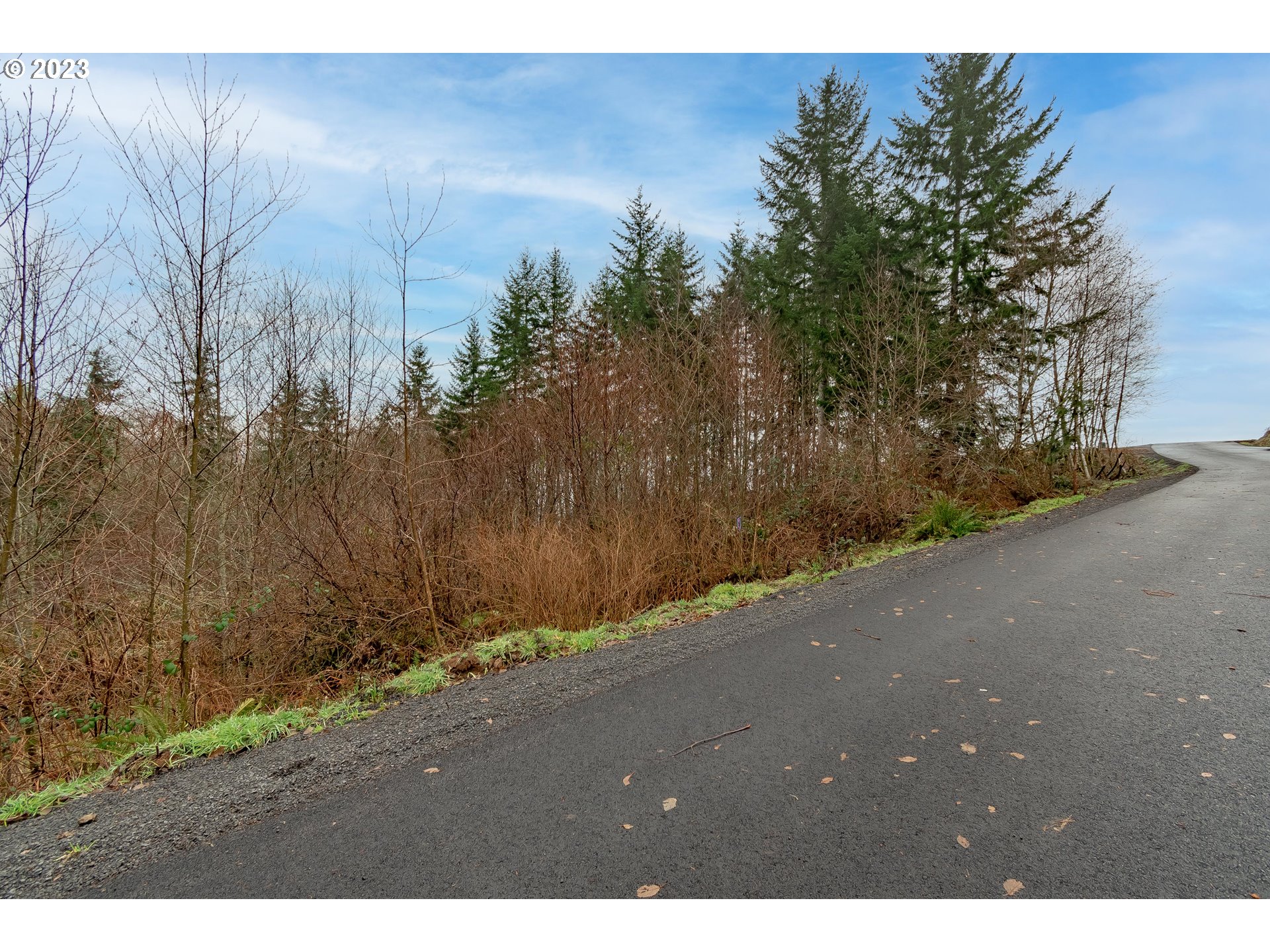 S Silver Lake Rd #4, Castle Rock, WA 98611