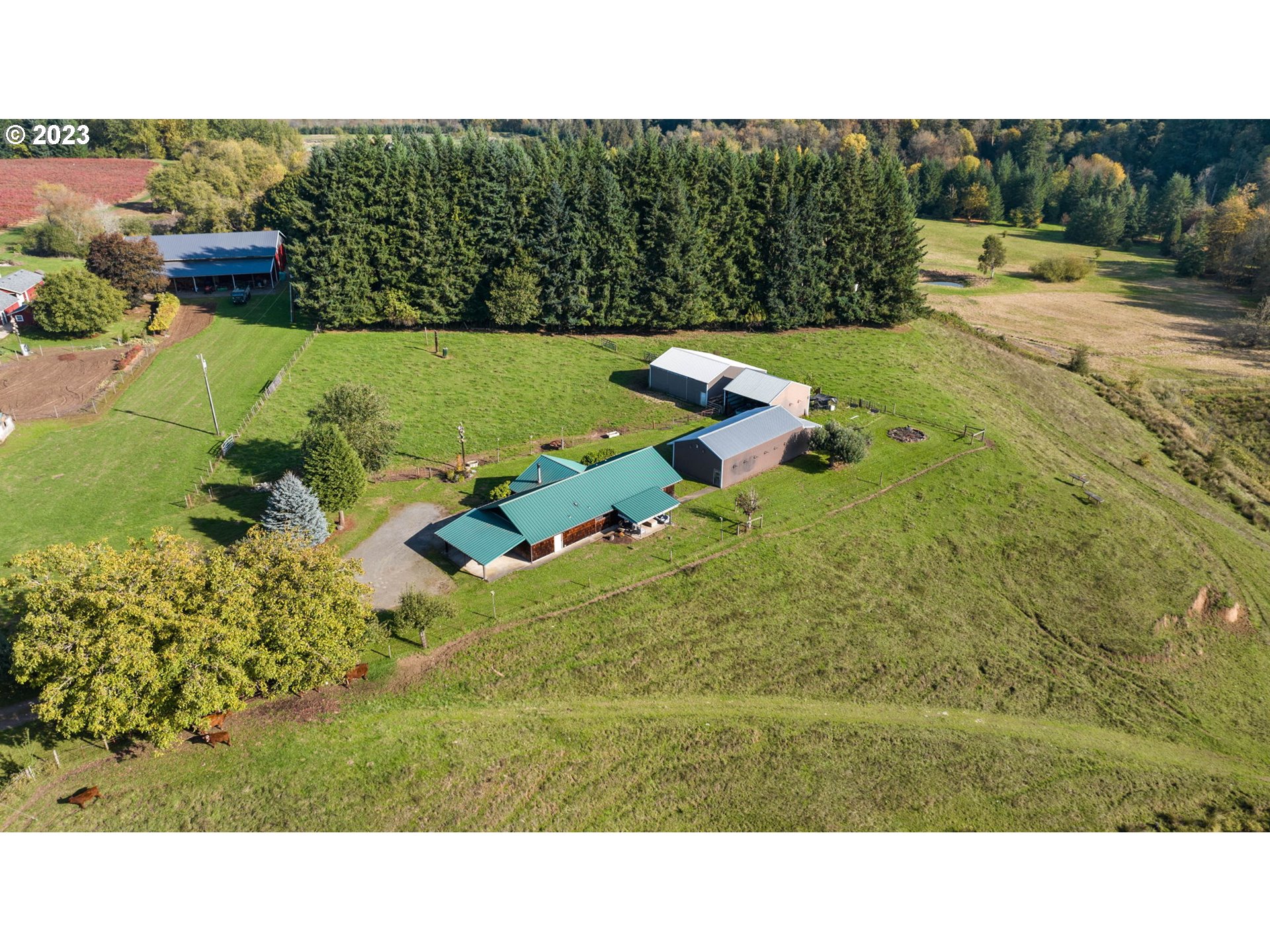 16247 NE 107th Ave, Battle Ground, WA 98604