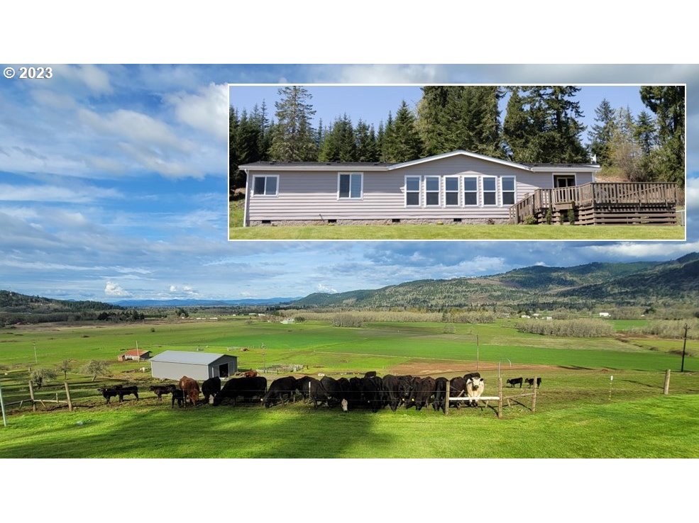 This beautiful 210 +/- acre cattle ranch with an ABSOLUTELY STUNNING VIEW is a rarity to find on the market near the historic, rural town of Creswell, Oregon.  This versatile property offers perimeter fencing, flat ground for hay production and pastures, as well as a gently sloped hillside in trees and merchantable timber.  A very nice 1995 manufactured home, large shop, and 80' x 50' hay barn offer a great slate for your livestock business or lease the farm ground out and enjoy the view! 4 legal tax lots, 2 of which are currently identified by Lane County.  Approximately 70 acres in clean hay production has been replanted over the last 5 years. Sellers have put up haylage in past years and yielded 140-180 bales; each bale weighing an average of 2,000 lbs, with an additional 60-70 tons of dry hay harvested in small squares and 5x5 rounds.  95 acres on a gently sloped hillside offers approx 125 mbf of merchantable timber.  About 12 acres in wetlands and the balance in pasture ground and improvements. Chicken coop, deer-fenced garden area, & LOP Tag eligible. Just 4 miles south of Creswell, 15 miles to University of Oregon, 18 miles to Costco in Eugene, and 26 miles to the Eugene Airport!