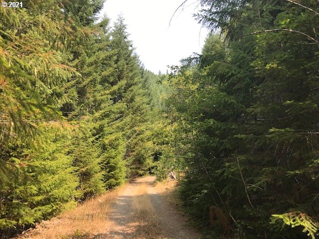 0 Sutherlin LN UNIT 01100, Eugene, OR, 97405