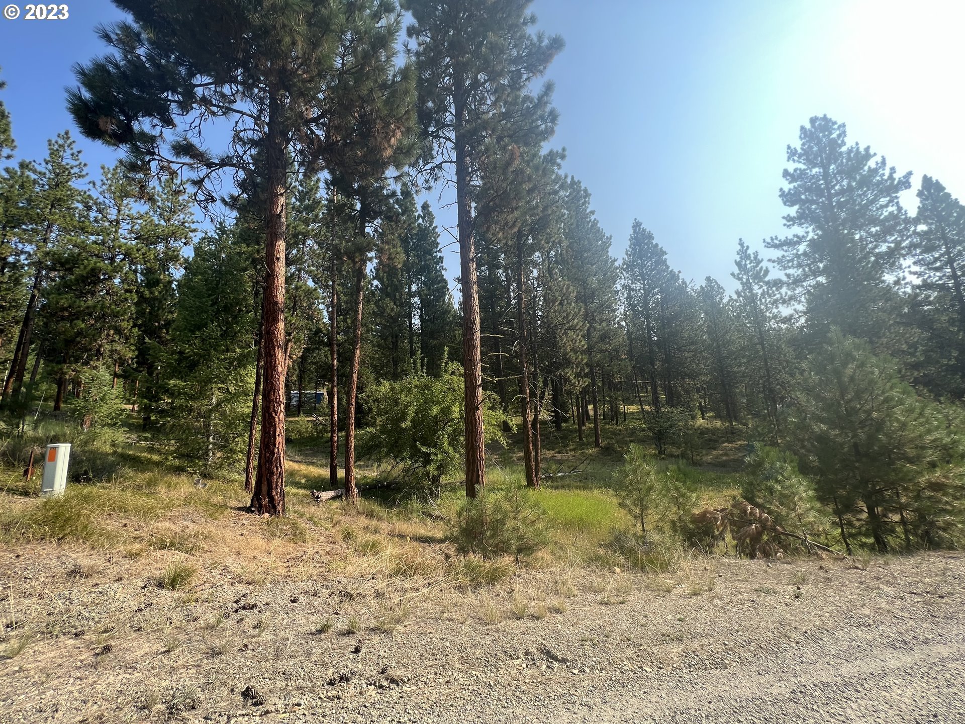 Lot #6 is on Bonanza Street in Sumpter, Oregon!  One of 7 city lots currently part of a large 1.03 acre parcel, this piece of land is well suited to pair with other adjoining lots, or be available for your get away Sumpter spot!  Check it out!