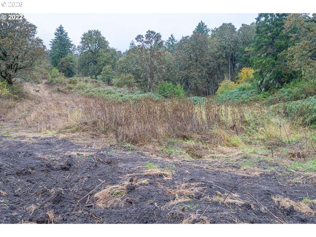 4090 NW LINCOLN AVE, Yamhill, OR, 97148