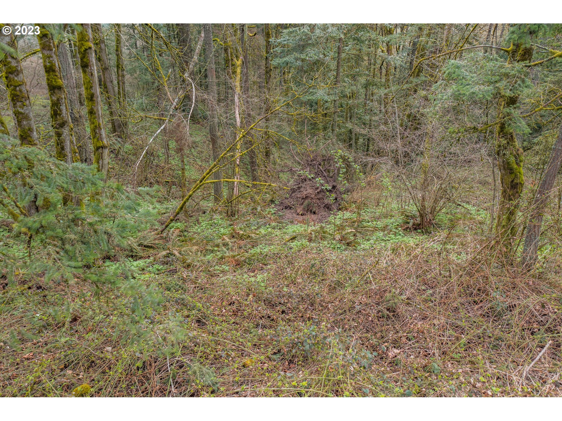 9001 NW SKYLINE BLVD