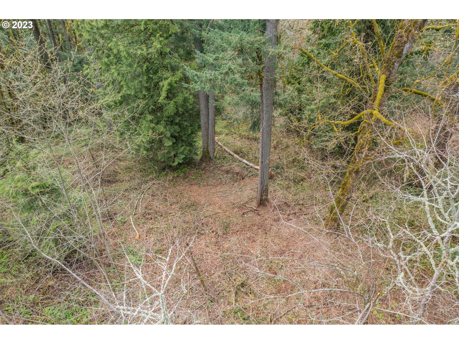 9001 NW SKYLINE BLVD