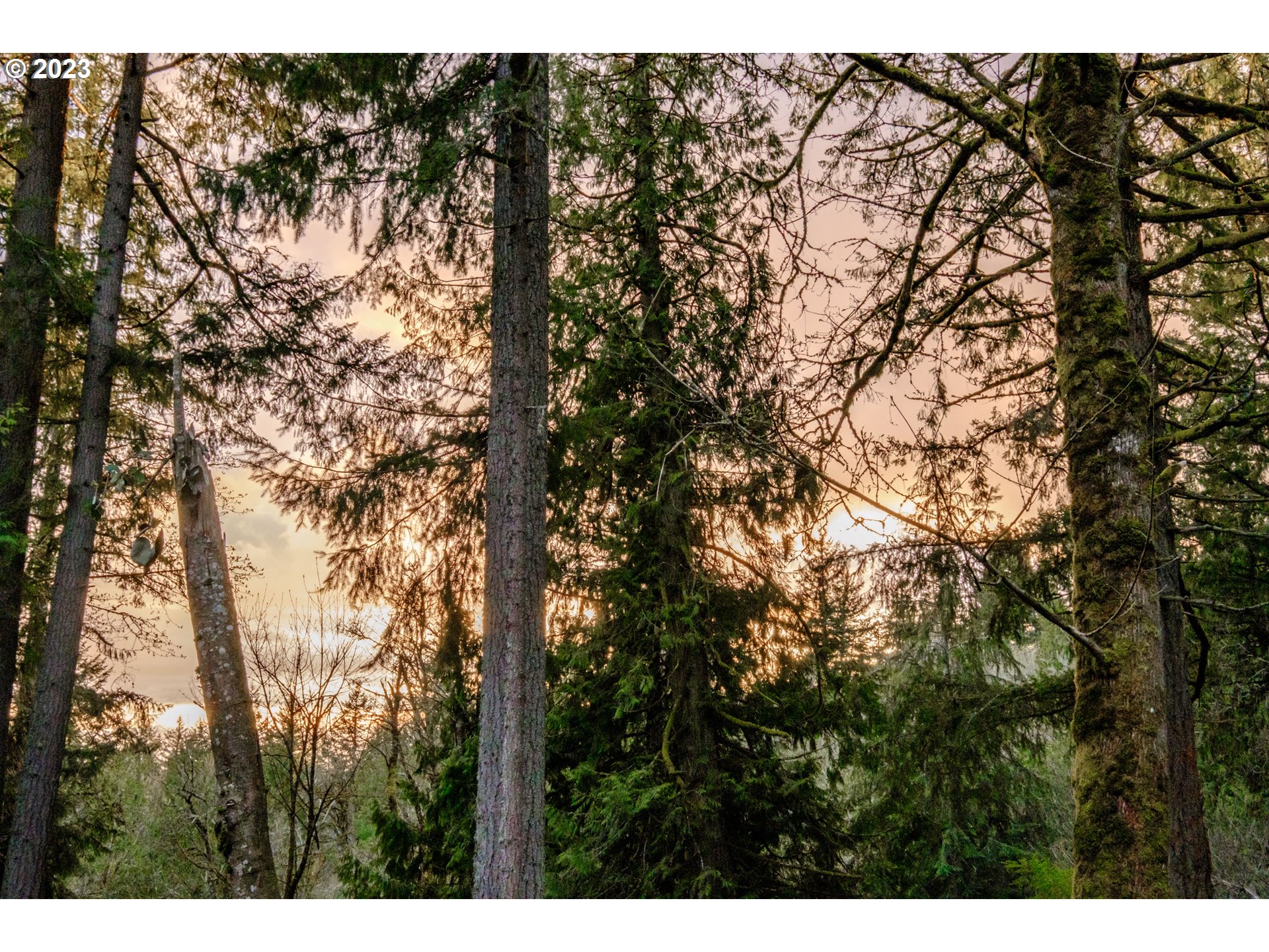 9001 NW SKYLINE BLVD