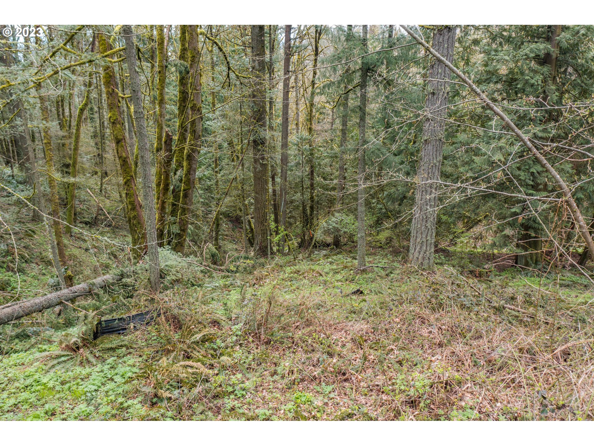 9001 NW SKYLINE BLVD