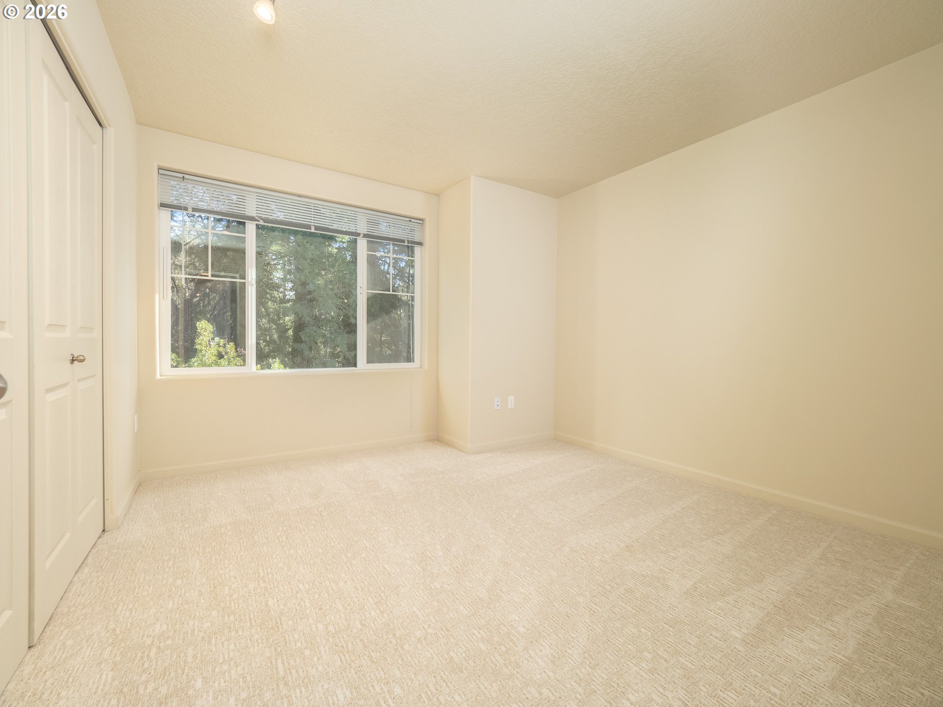 Photo #39: 234585188 Listing: Photo #39