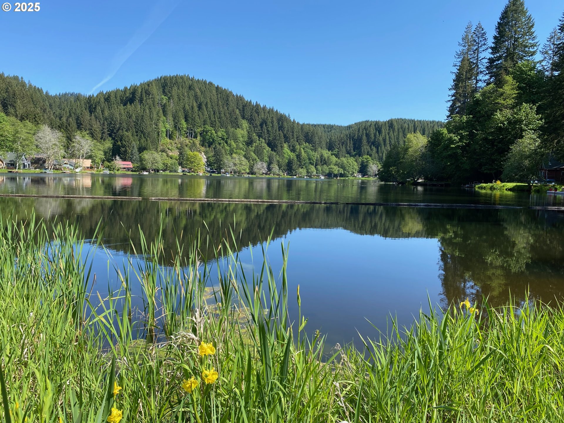 71501 FISHHAWK RD, Birkenfeld, OR, 97016