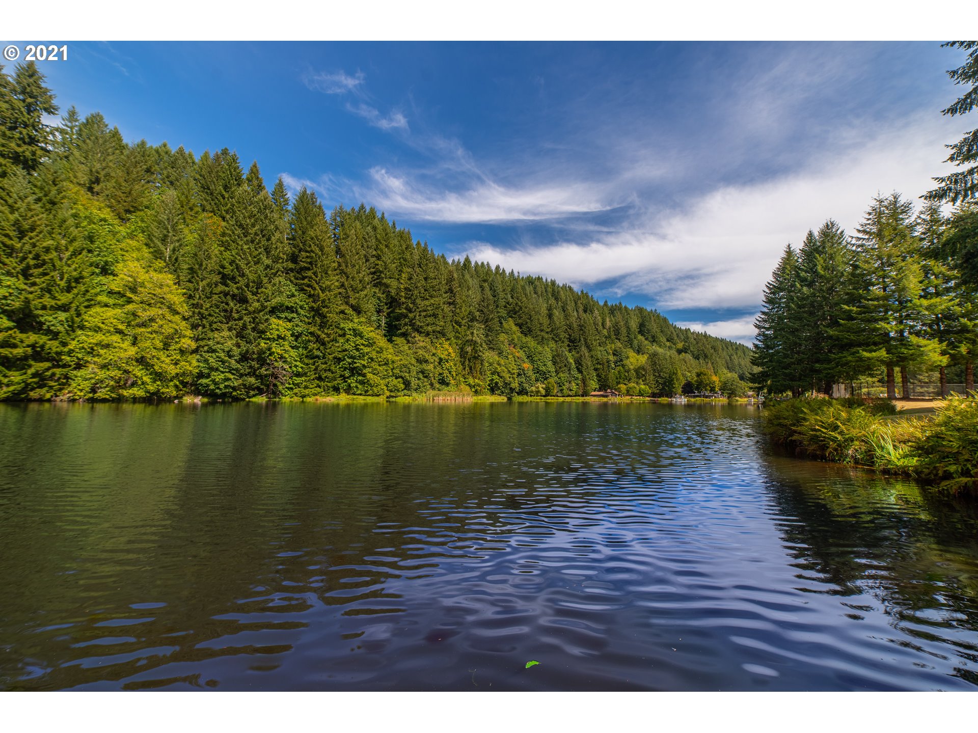 71501 FISHHAWK RD, Birkenfeld, OR, 97016