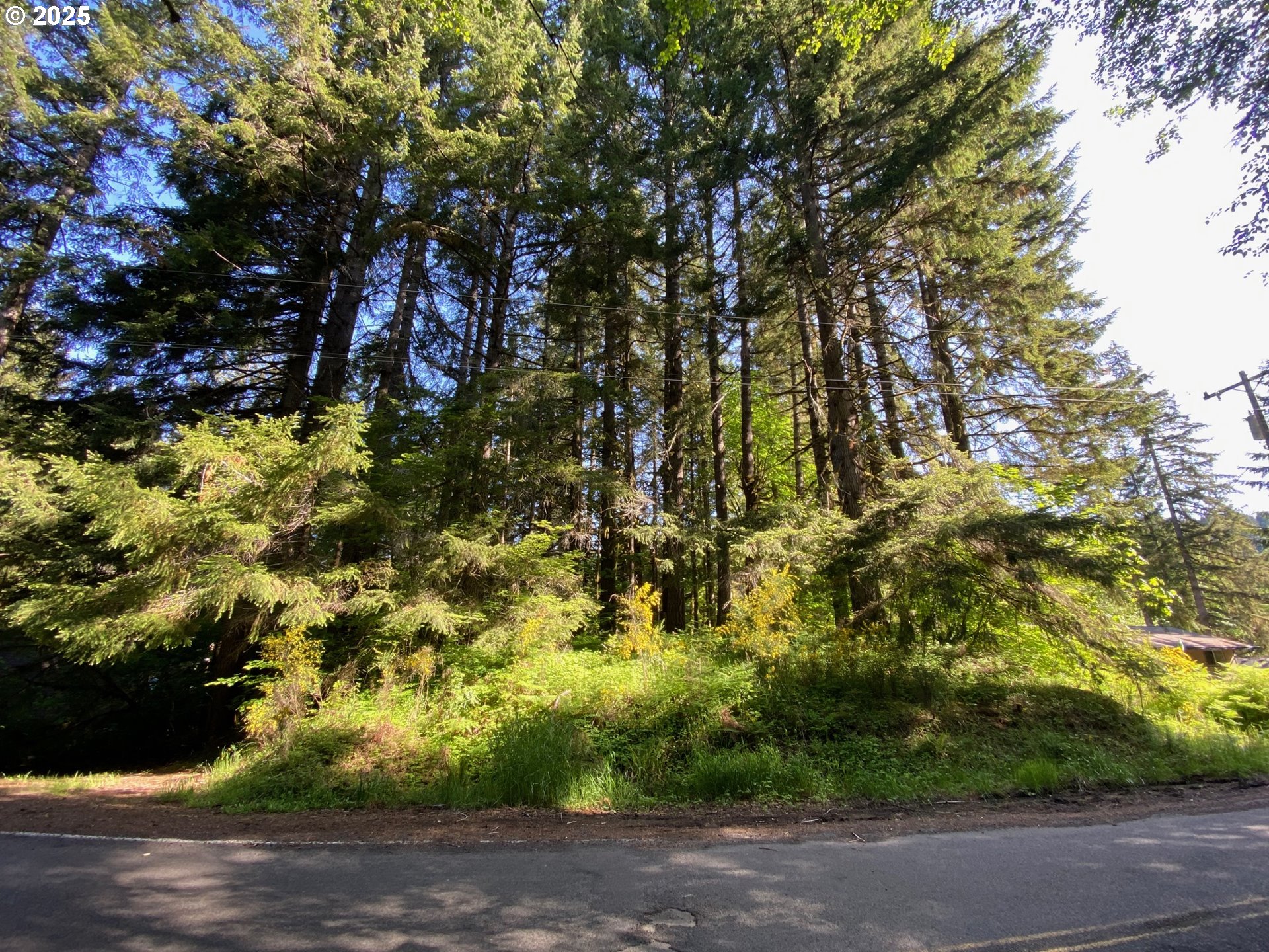 71501 FISHHAWK RD, Birkenfeld, OR, 97016