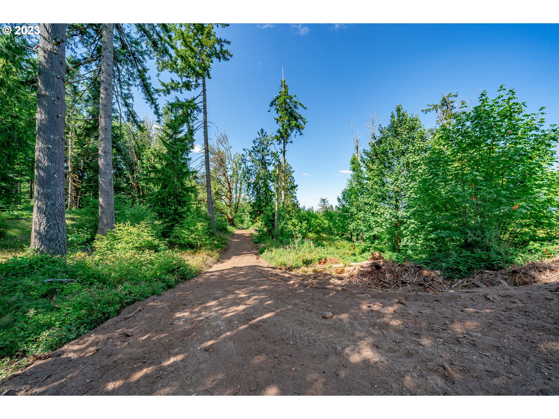 0 S Silver Lake RD UNIT 1, Castle Rock, WA, 98611