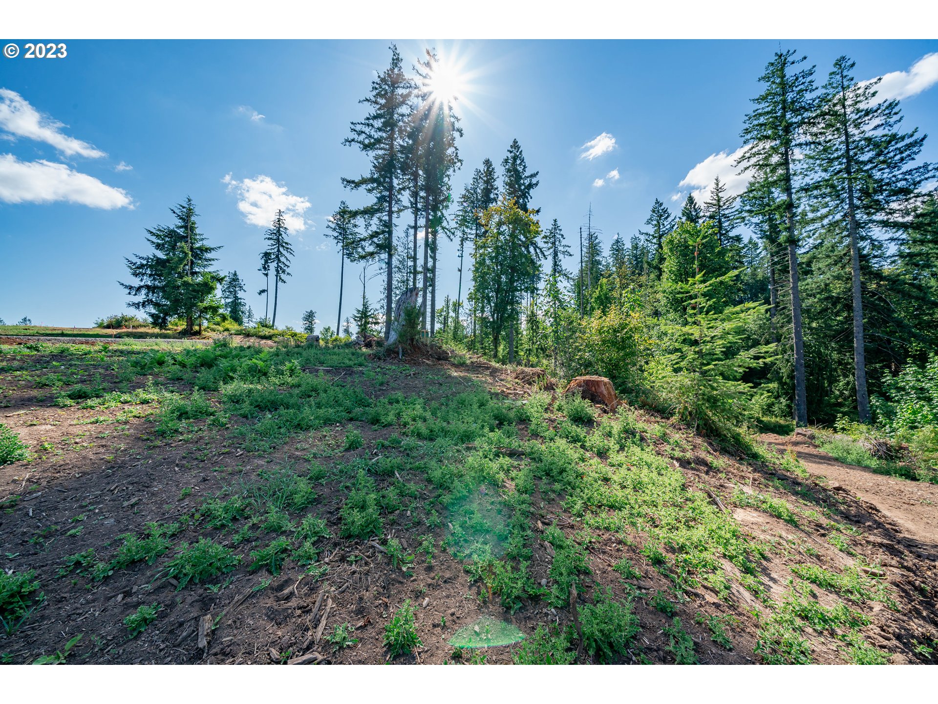 0 S Silver Lake RD UNIT 1, Castle Rock, WA, 98611