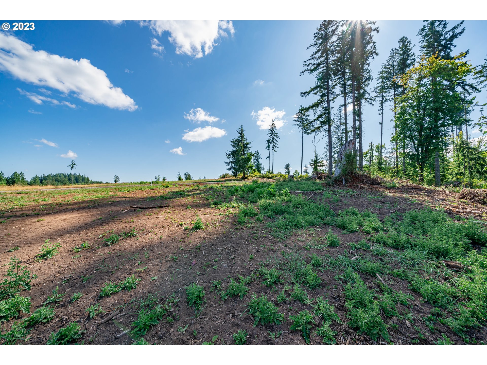 0 S Silver Lake RD UNIT 1, Castle Rock, WA, 98611