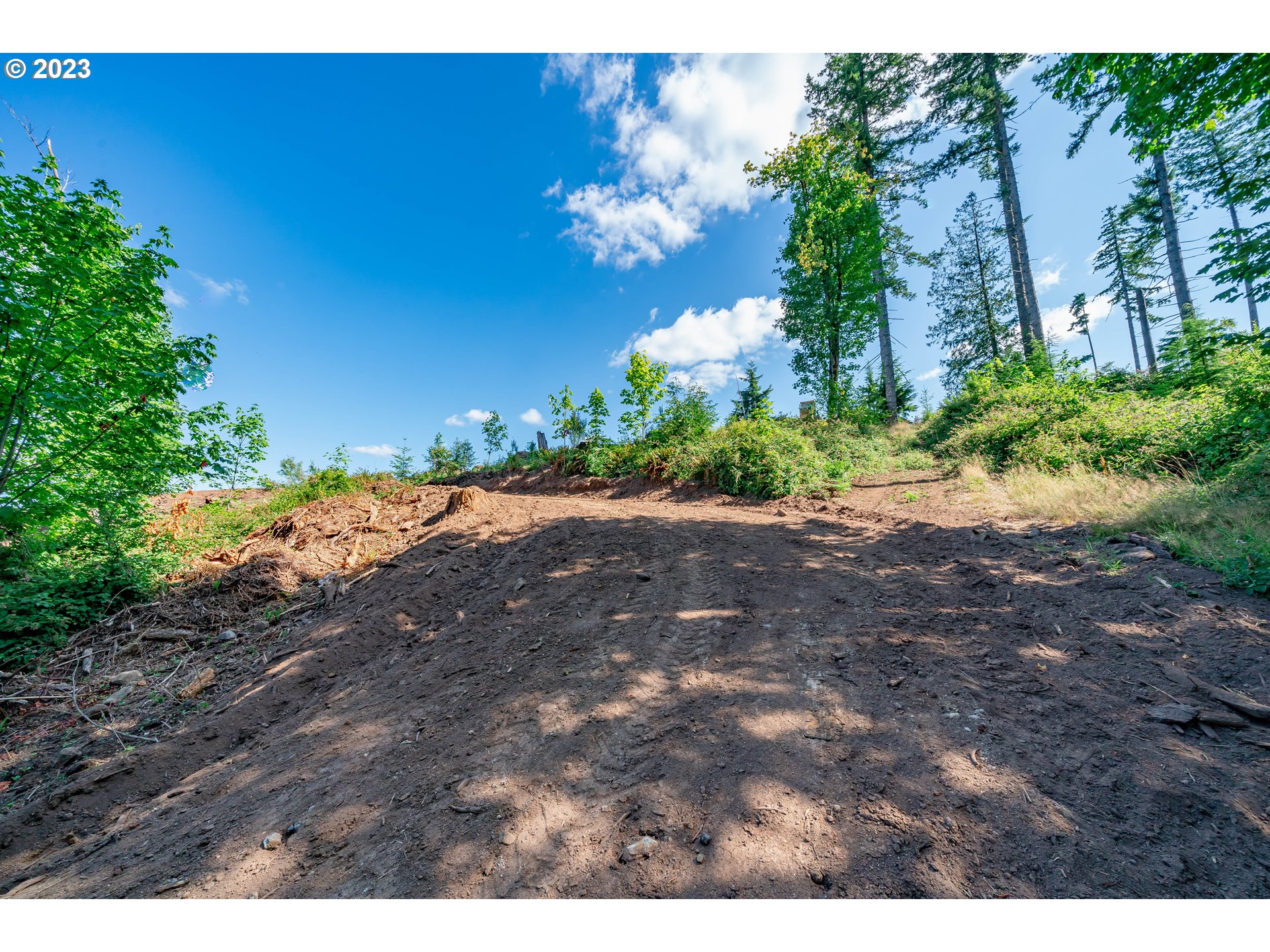 0 S Silver Lake RD UNIT 1, Castle Rock, WA, 98611
