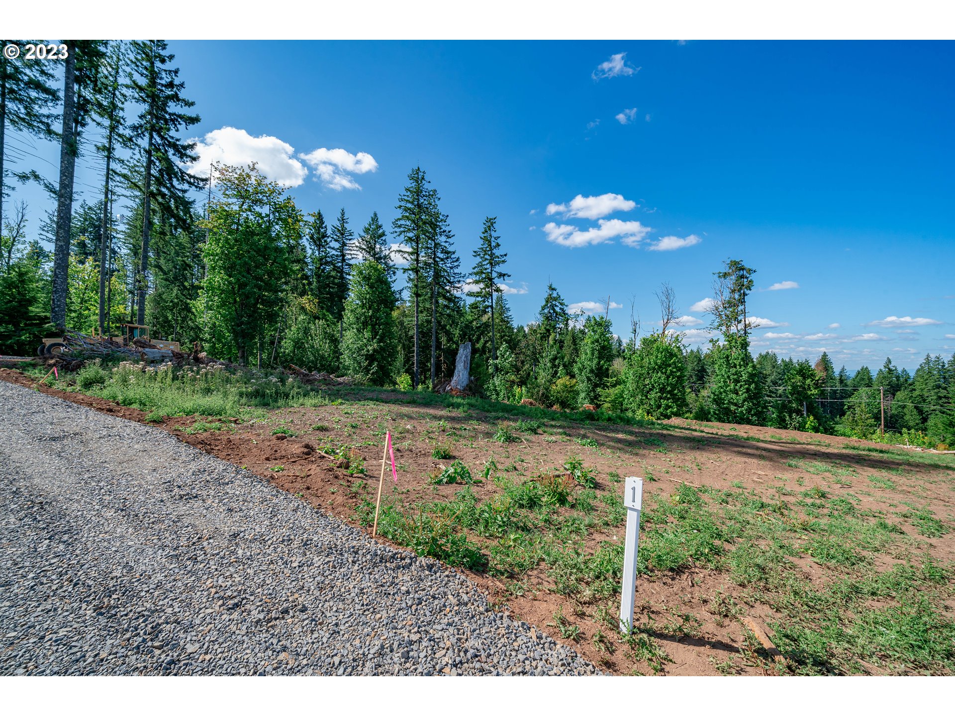 0 S Silver Lake RD UNIT 1, Castle Rock, WA, 98611