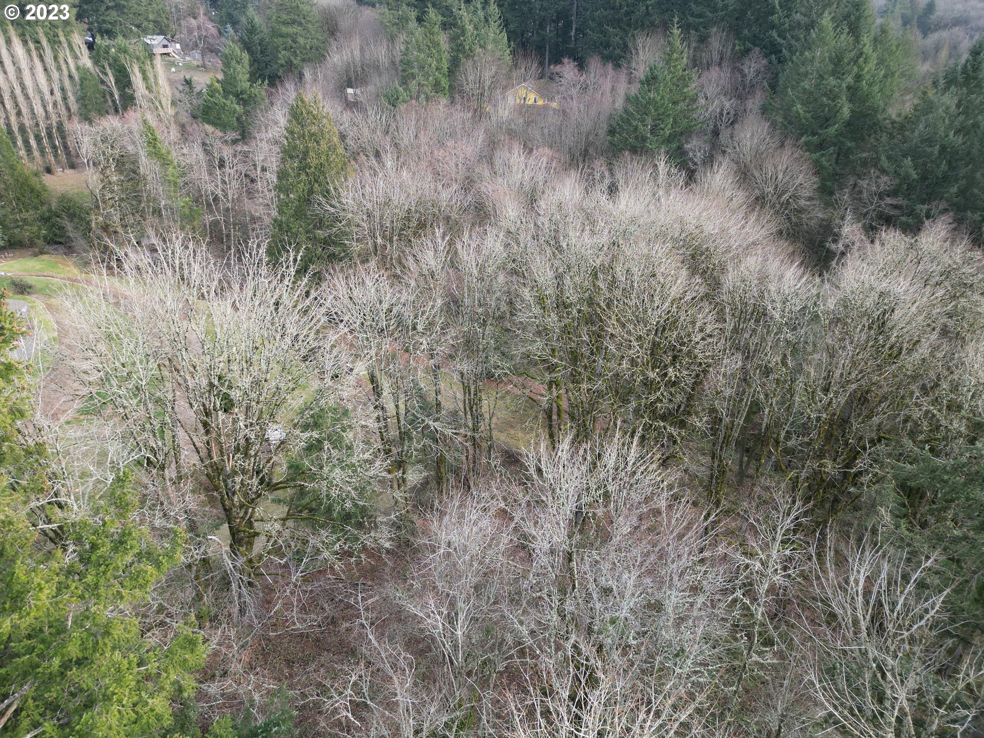 11902 NW TUALATIN AVE, Portland, OR, 97229