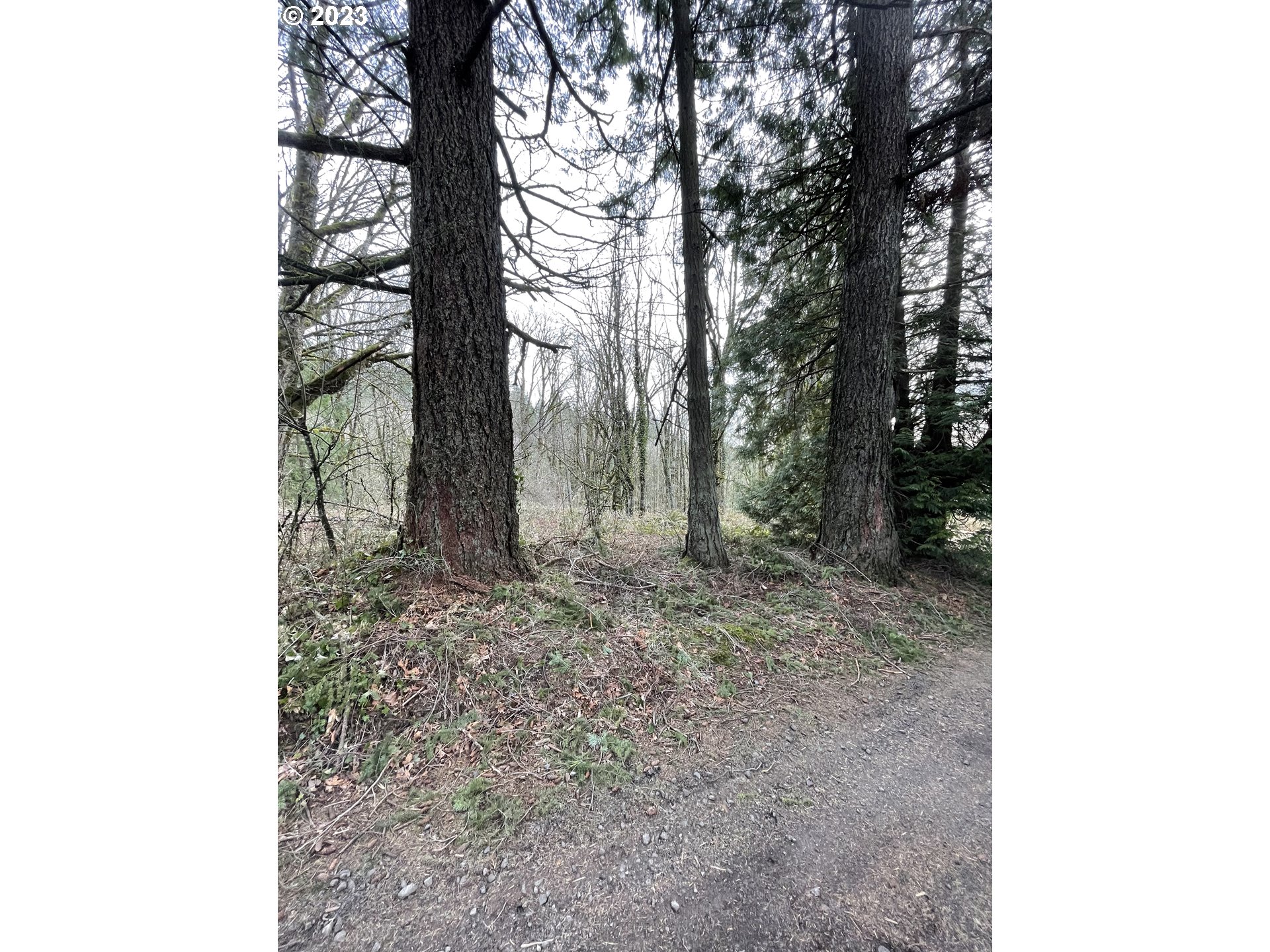 11902 NW TUALATIN AVE, Portland, OR, 97229