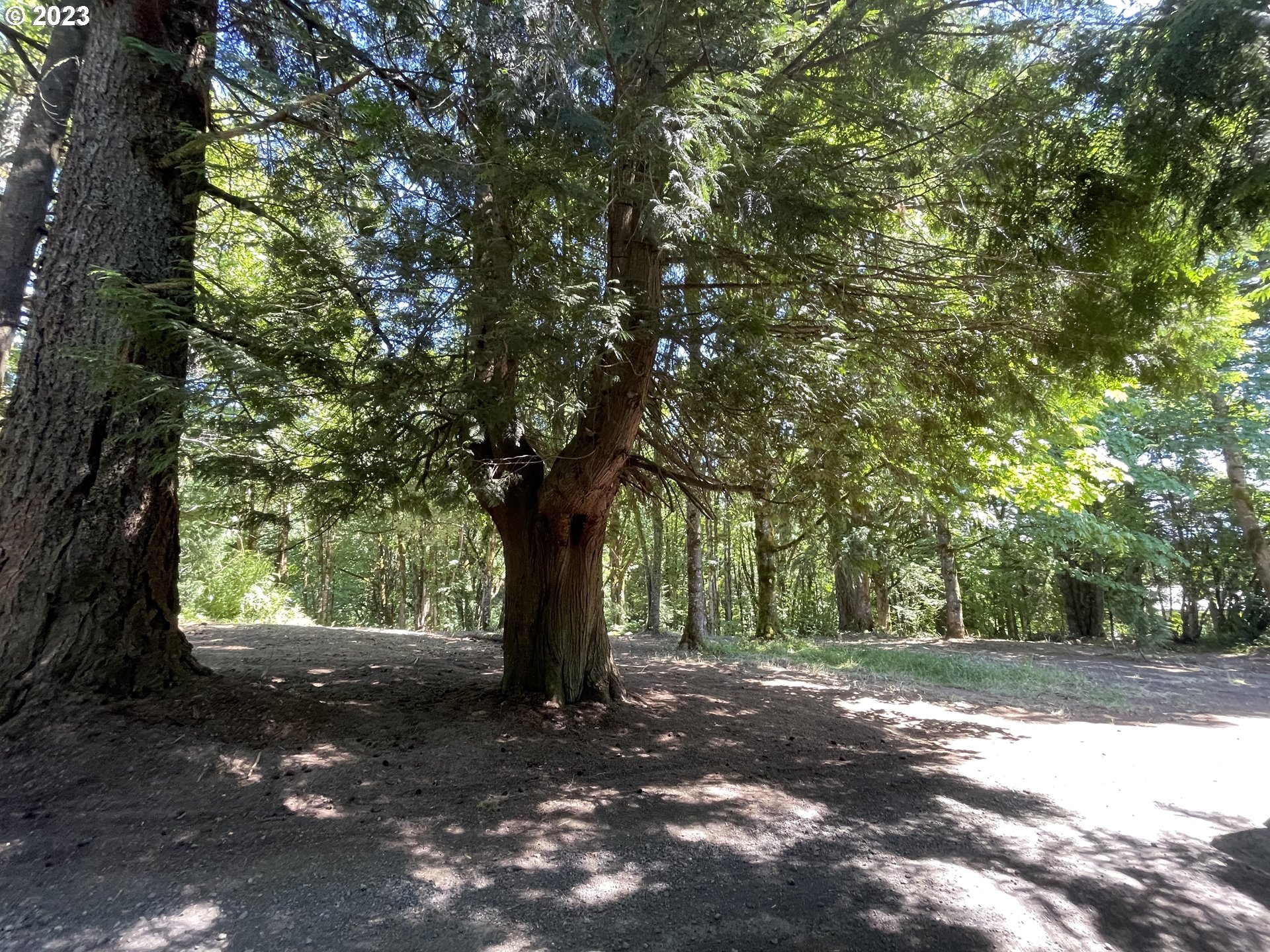 11902 NW TUALATIN AVE, Portland, OR, 97229