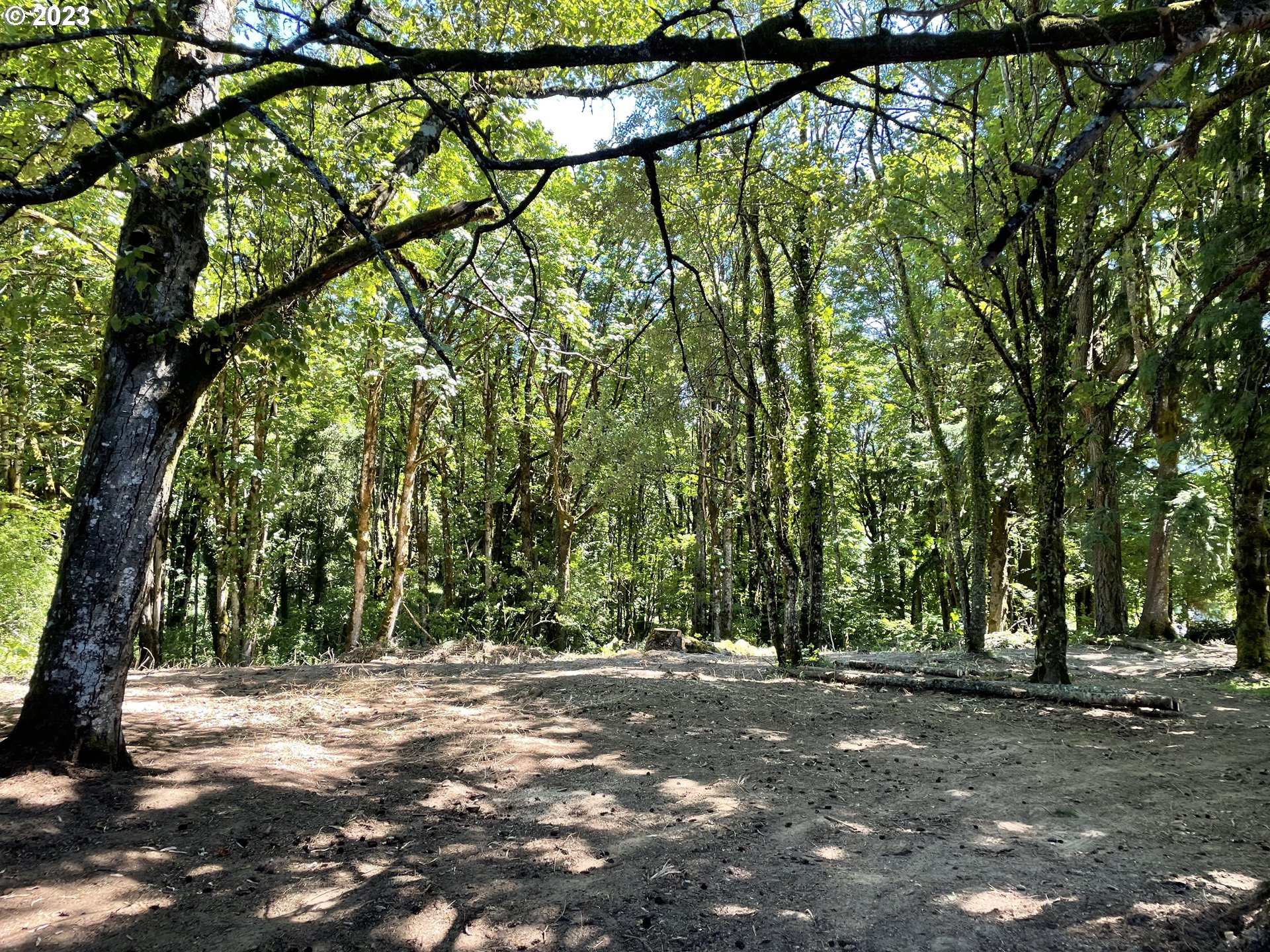 11902 NW TUALATIN AVE, Portland, OR, 97229