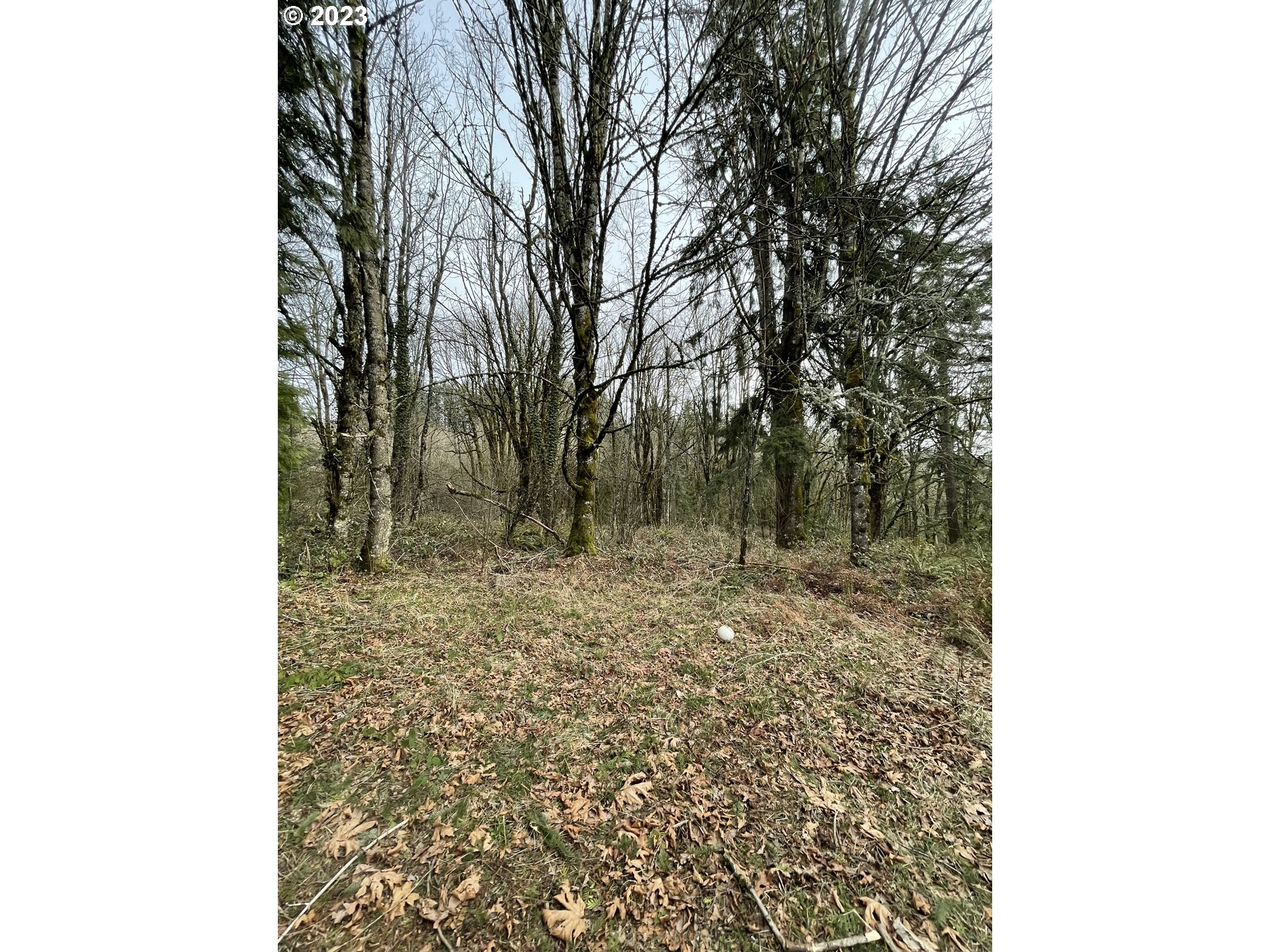 11902 NW TUALATIN AVE, Portland, OR, 97229