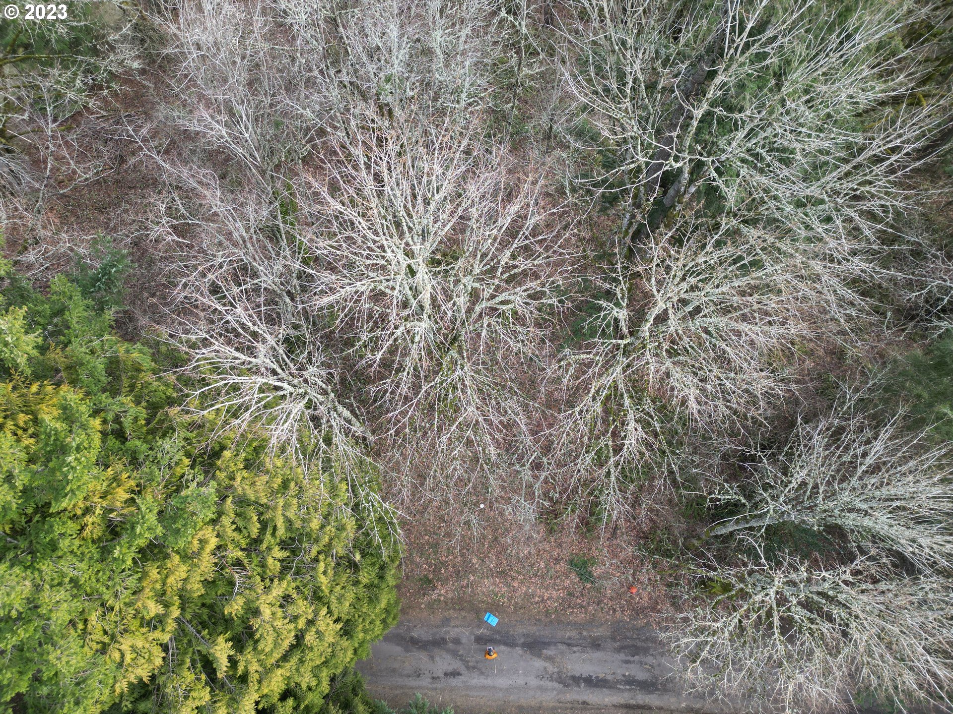 11902 NW TUALATIN AVE, Portland, OR, 97229