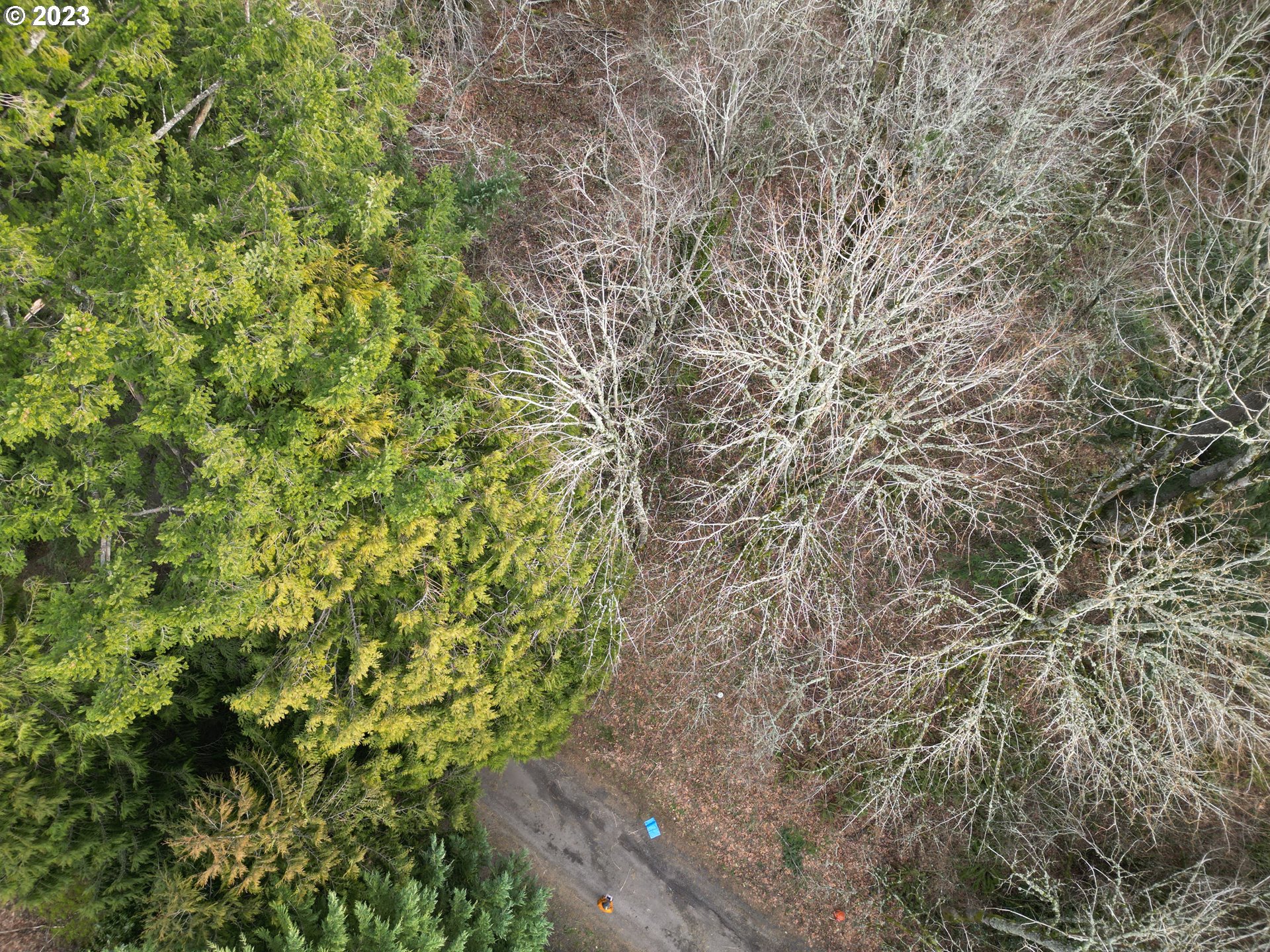 11902 NW TUALATIN AVE, Portland, OR, 97229