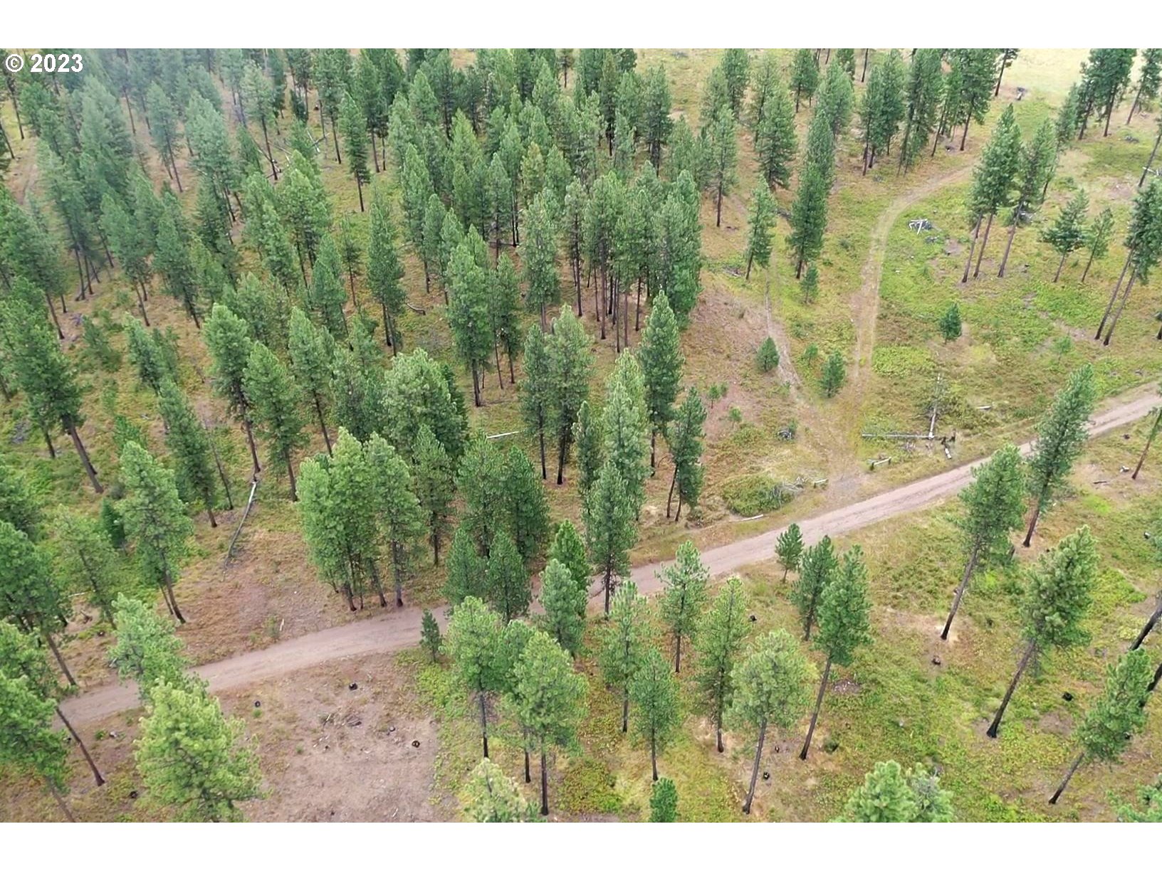 Land for sale in Enterprise, Oregon, 23527092