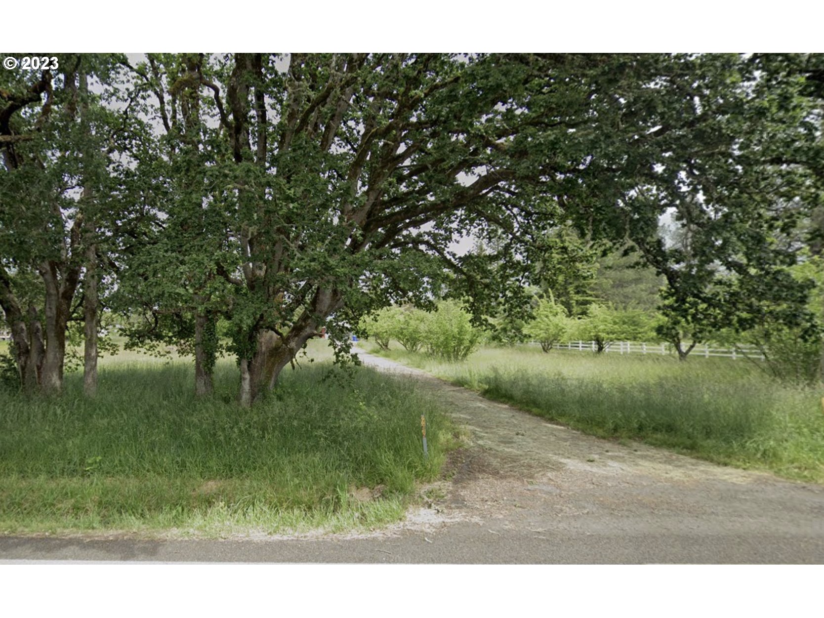 Large county property with a solid stick built home and large shop, dog runs, and loads of potential.