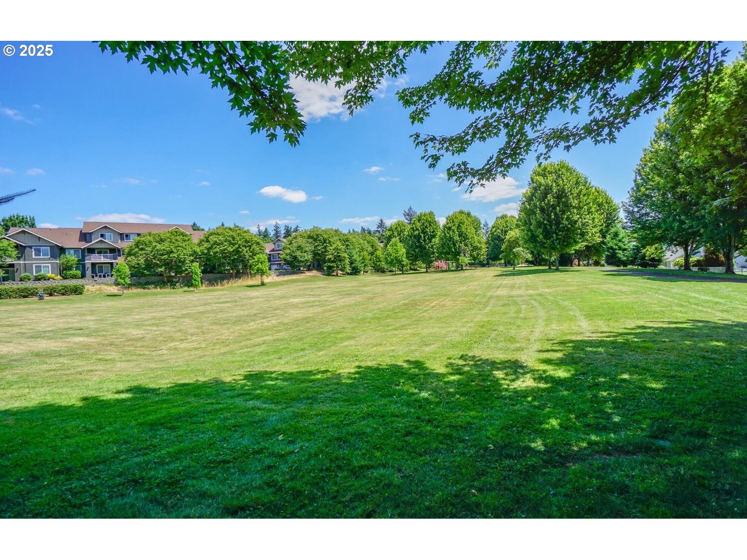 Photo #41: 235534930 Listing: Photo #41