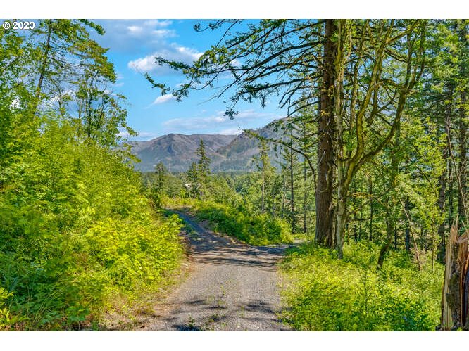  Warren Rd #Lot 4, North Bonneville, WA 98639