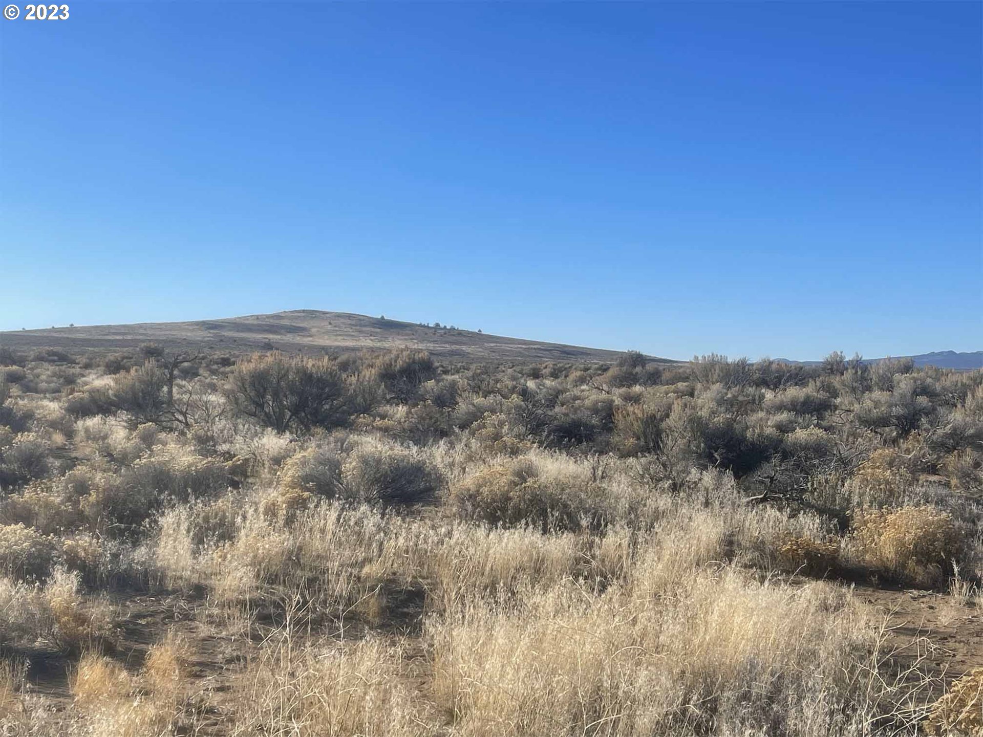 Search Homes for Sale