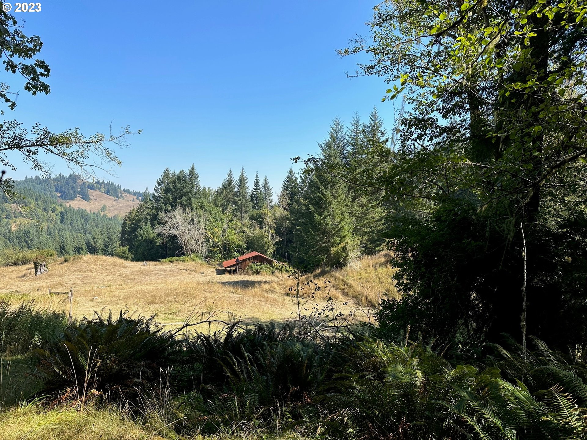 48174 DEMENT CREEK RD, Myrtle Point, OR 