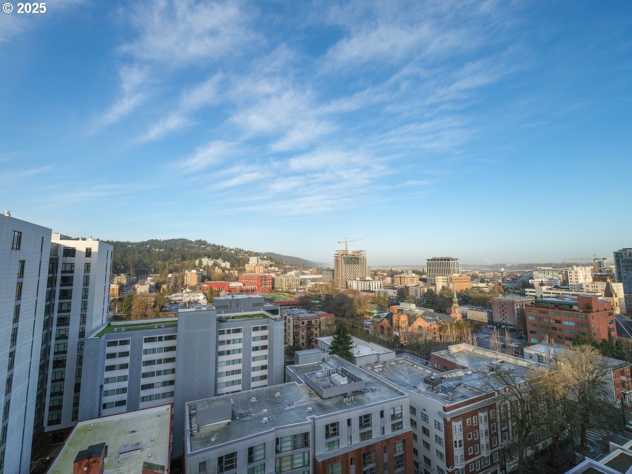 Photo #31: 236032734 Listing: Photo #31