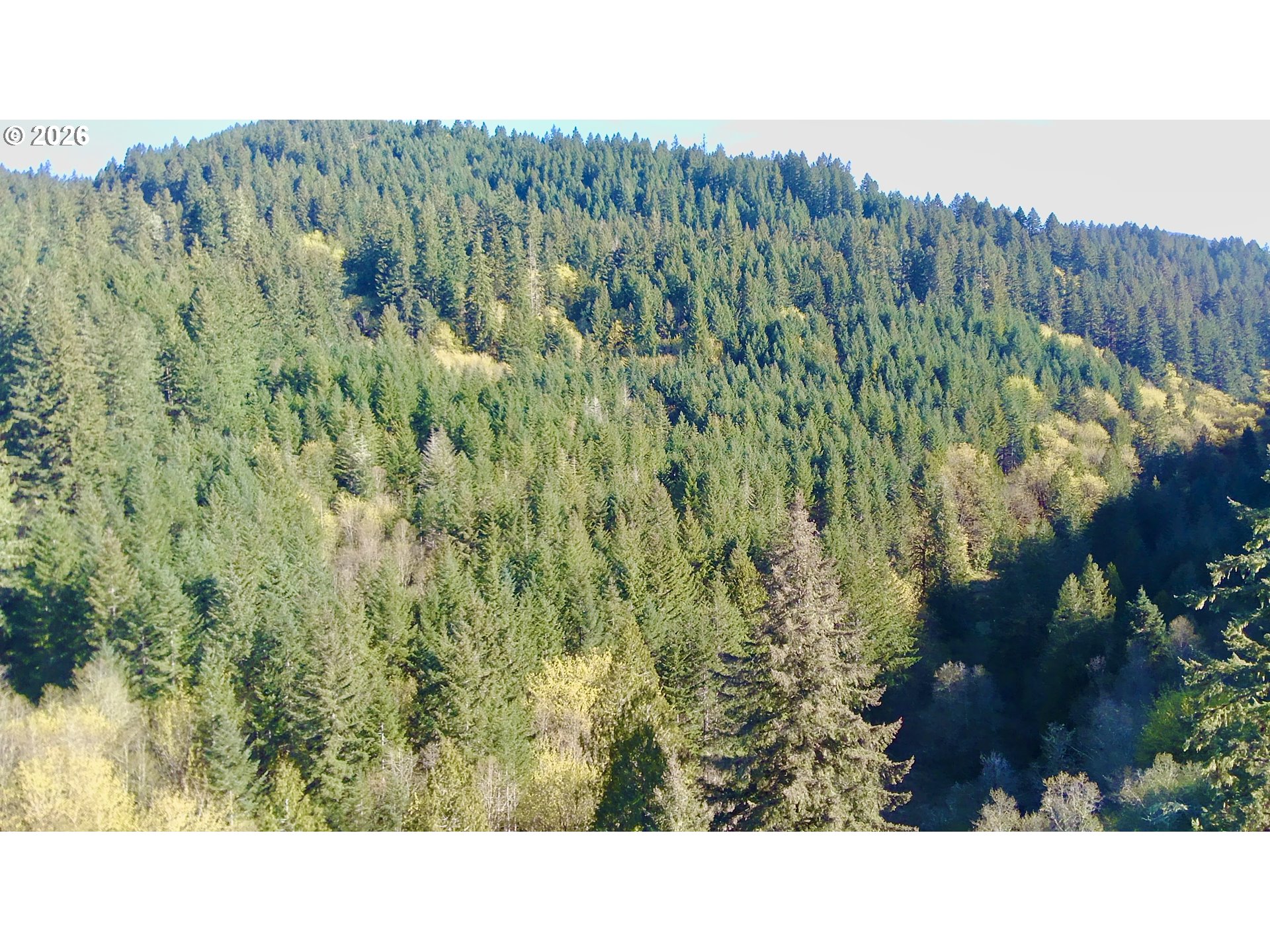 0 N OLD HIGHWAY 99, Roseburg, OR, 97470