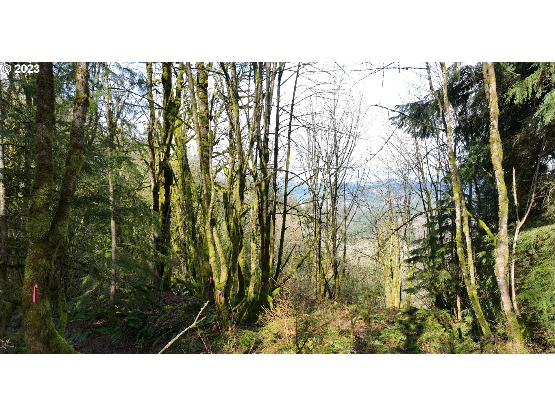 602  Wildlife Dr, Washougal, WA 98671