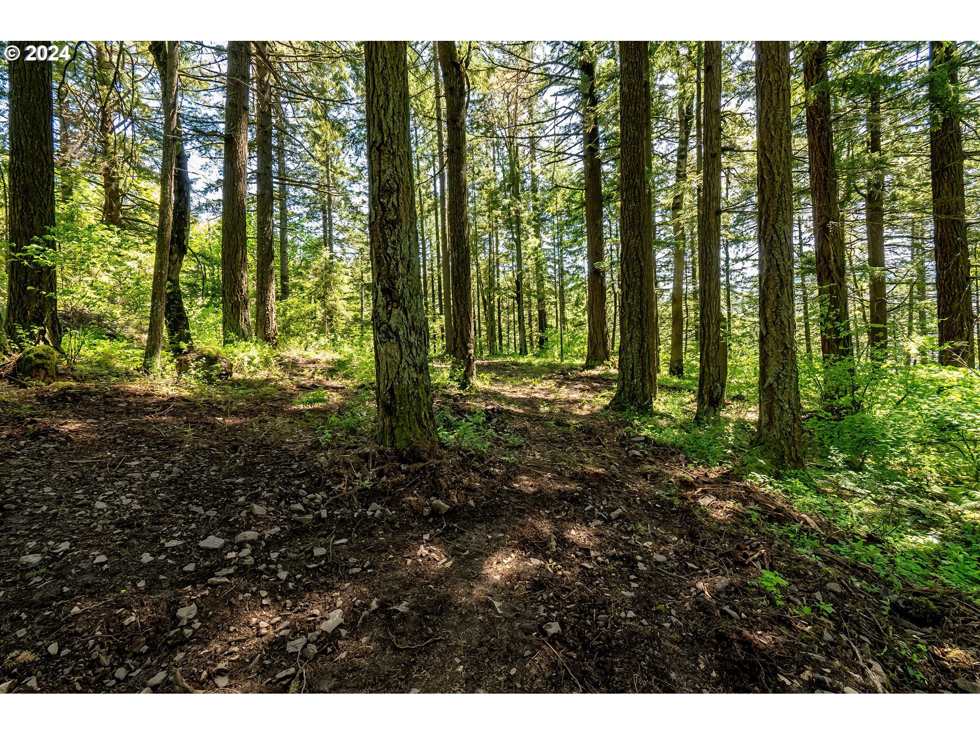  Sprague Landing Road  #Lot 2, Stevenson, WA 98648