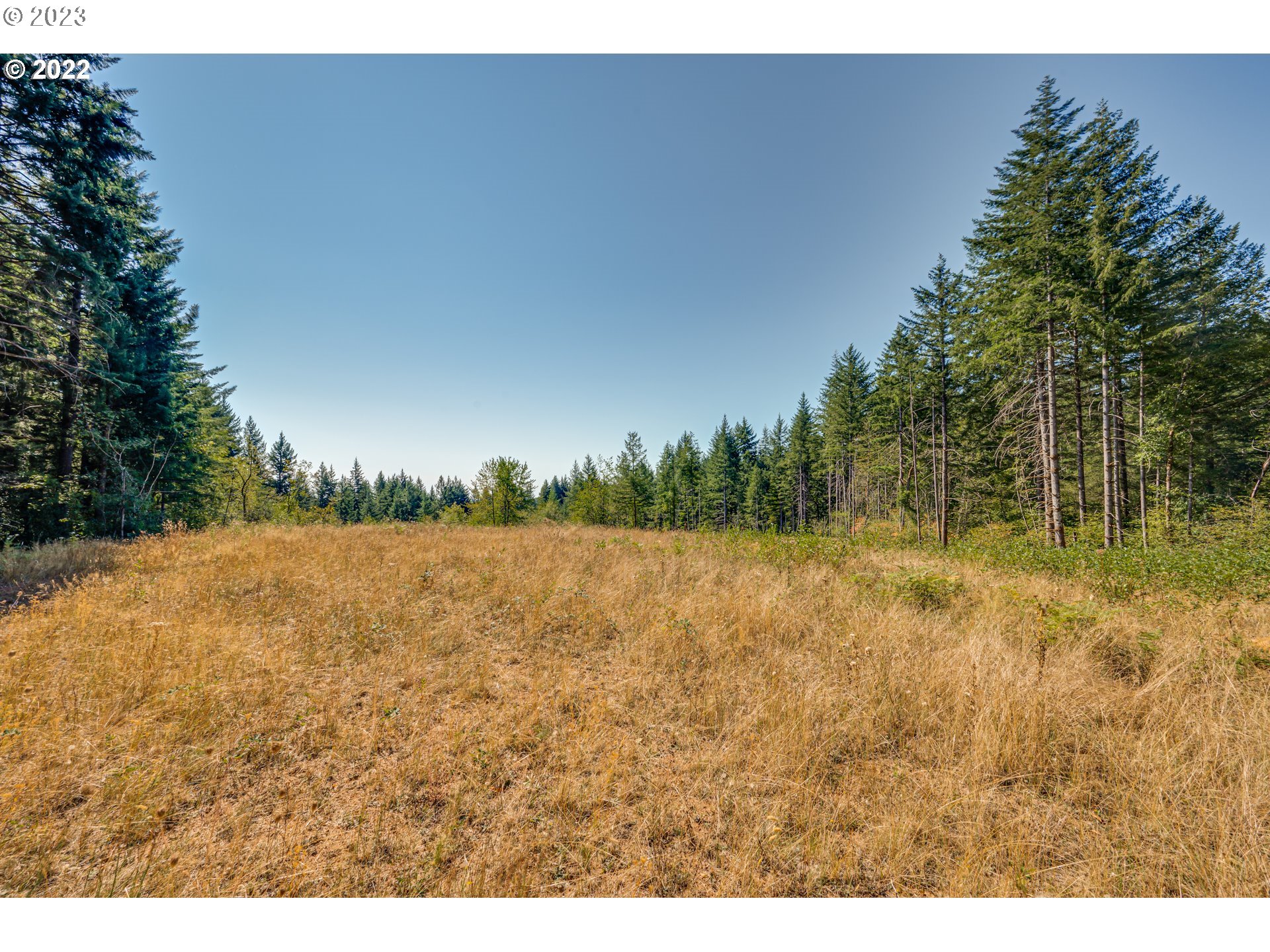 NE 44th Way #4, Camas, WA 98607