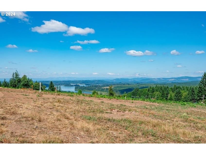 120  Red Hawk  #2, Castle Rock, WA 98611