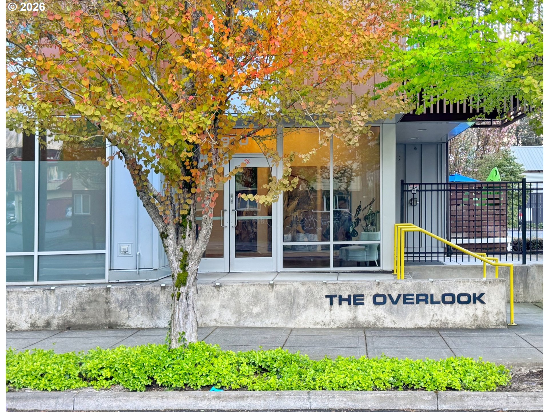 Photo #33: 237231849 Listing: Photo #33